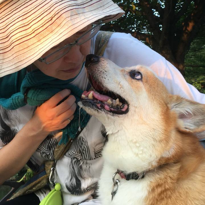 87a278f9 9f05 4503 a575 27b10126c943 1725236980174