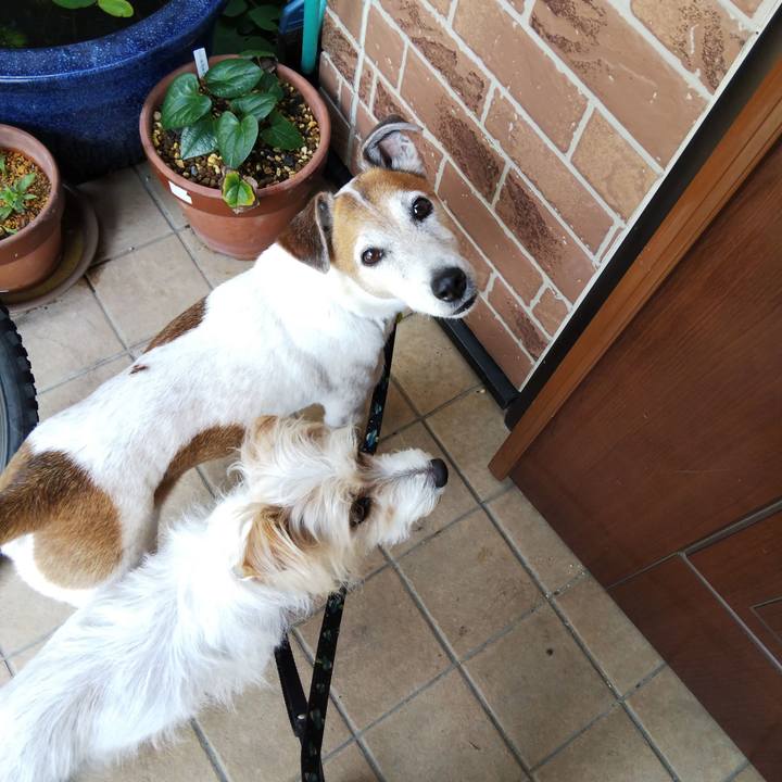 87a28824 4f69 4414 8489 f34e387b6856 1527393336237