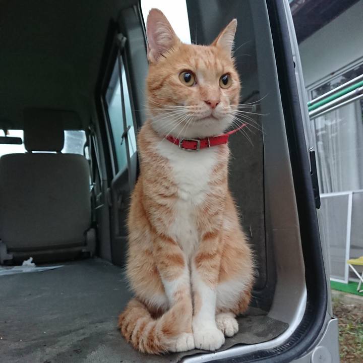 87a2b6af 5023 4efa bc03 897d23e2f03f 1569789895272