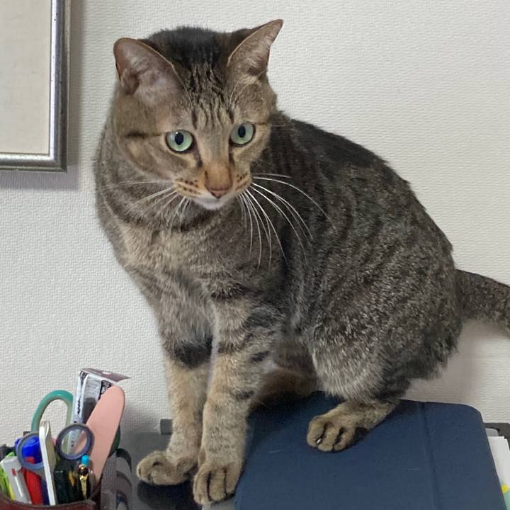 87a2c2fd 8b57 4247 abab f16b94e71458 1763940390796