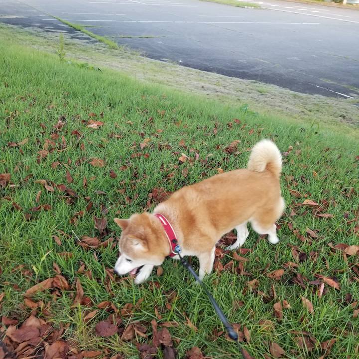 87a2d420 8550 4e54 aa51 ec90521b44de 1726041198197