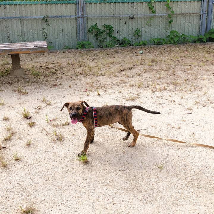 87a2e70f 7477 436c 8ecf d7adeea4bd1c 1567769763321