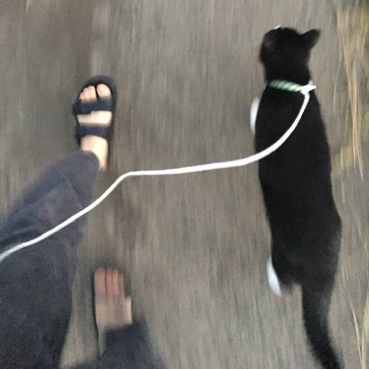 87a2f1ad 5305 4842 a274 e4f914fddef0 1535194394851