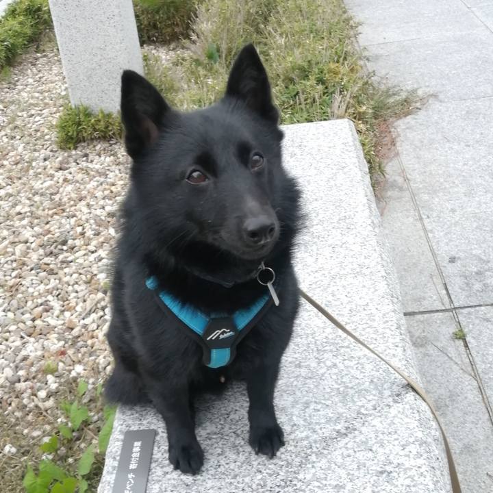 87a2fc4a 41cf 41a4 be11 e7895632f6d2 1656793999566