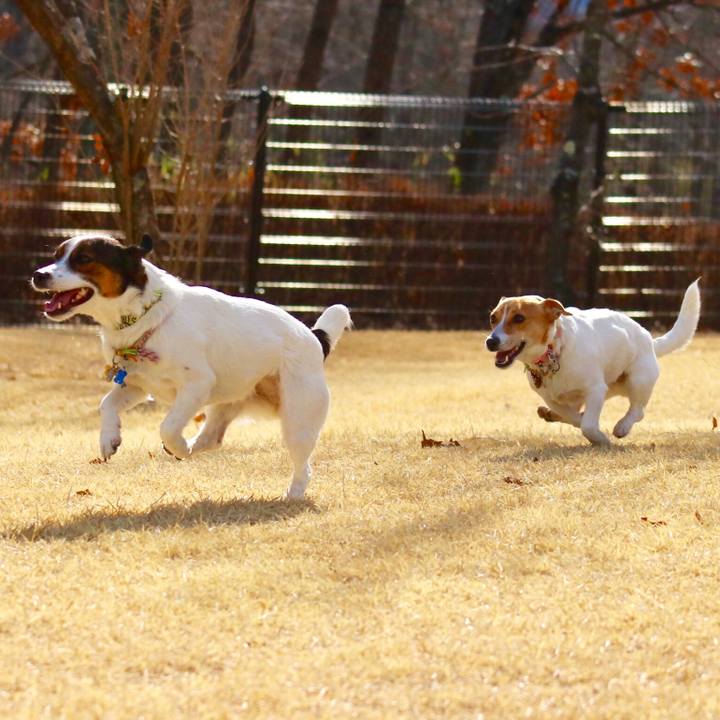 87a325e6 8206 4042 babc 2683225acefb 1548487518000