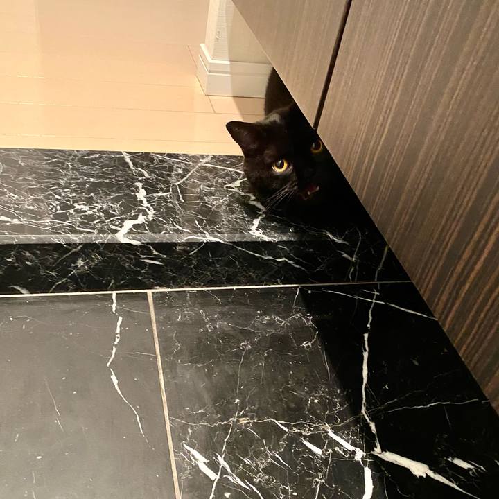 87a363a3 0486 4012 be05 2dec297b7f11 1720780358855