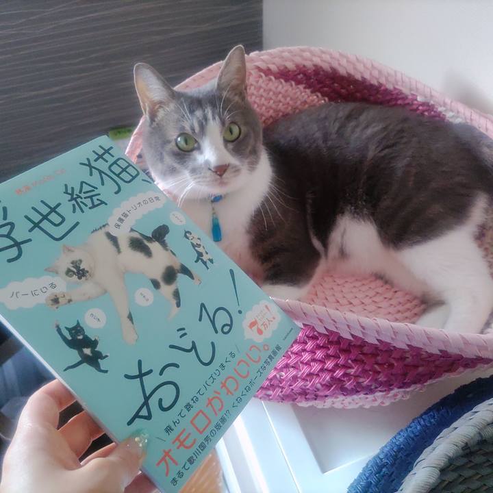 87a37507 1658 4d66 8519 c8739f226338 1656059986803