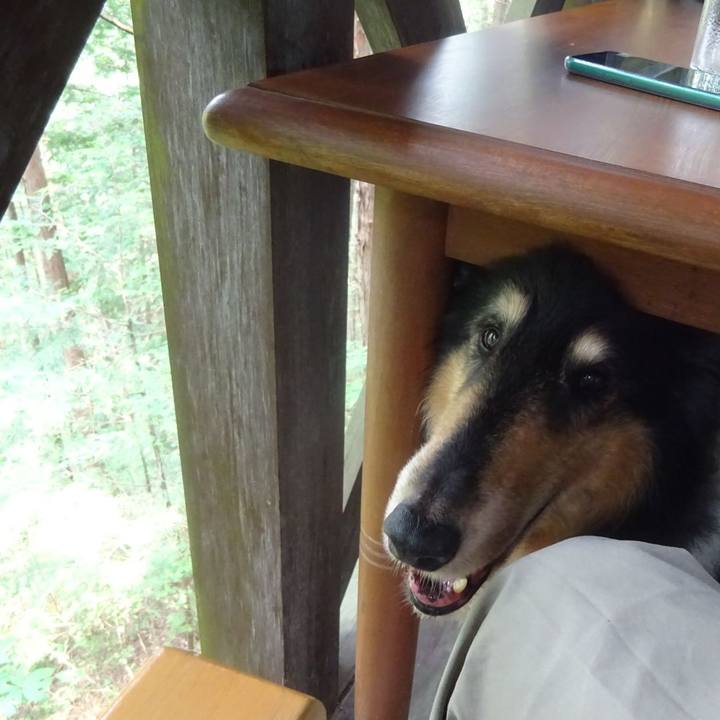 87a38e70 c8d5 4143 8315 def39a4afb01 1596856945105