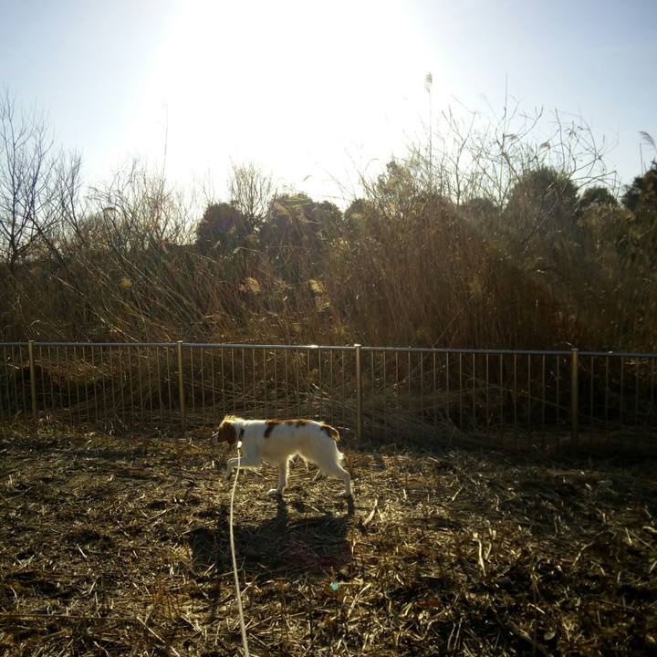 87a39c4c 7a73 4537 83d3 16745adf41a3 1520672566803