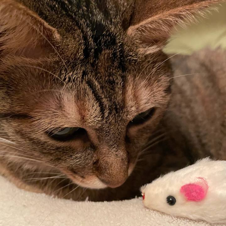 87a3b765 c136 4b4e 8457 6556fc227288 1634391865315