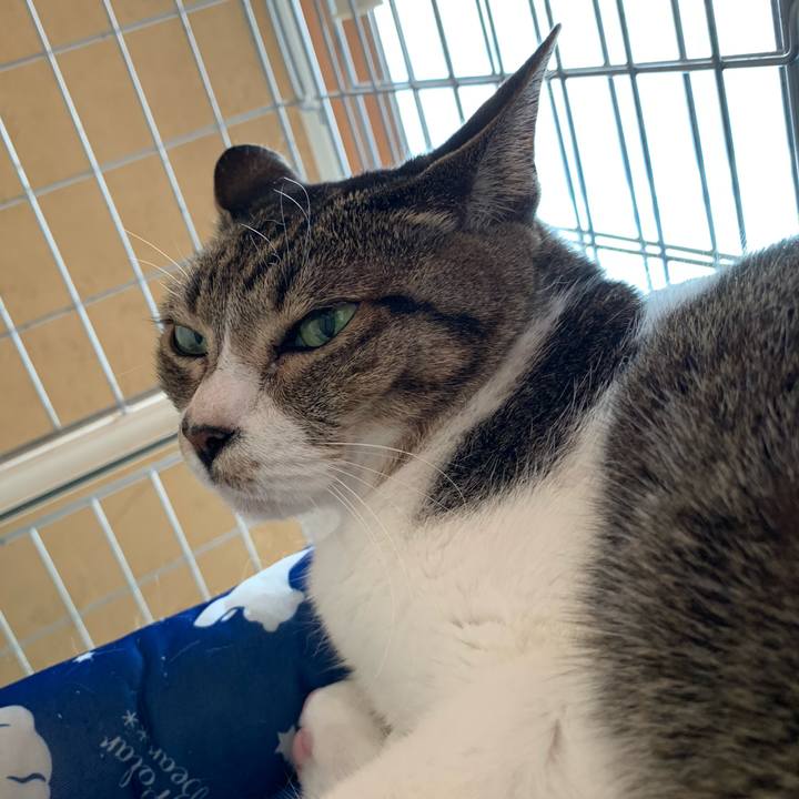 87a3d968 eeab 4564 a0ce dc7136a34691 1597541263564