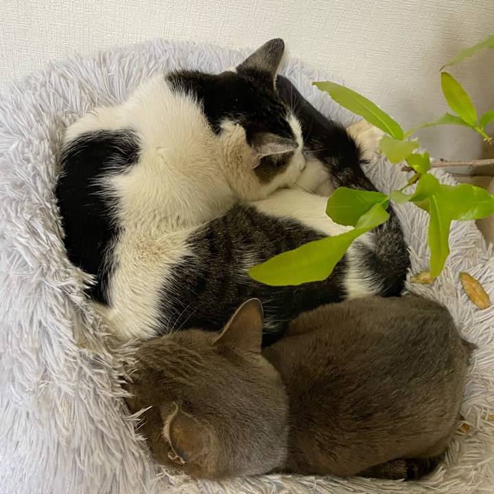 87a3f54b 2164 4a2e a030 a29101c4228d 1647856718054