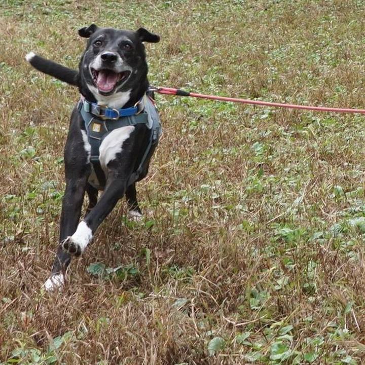 87a3fcd0 8a1b 4721 81d5 ce57c53f83f8 1761871637663