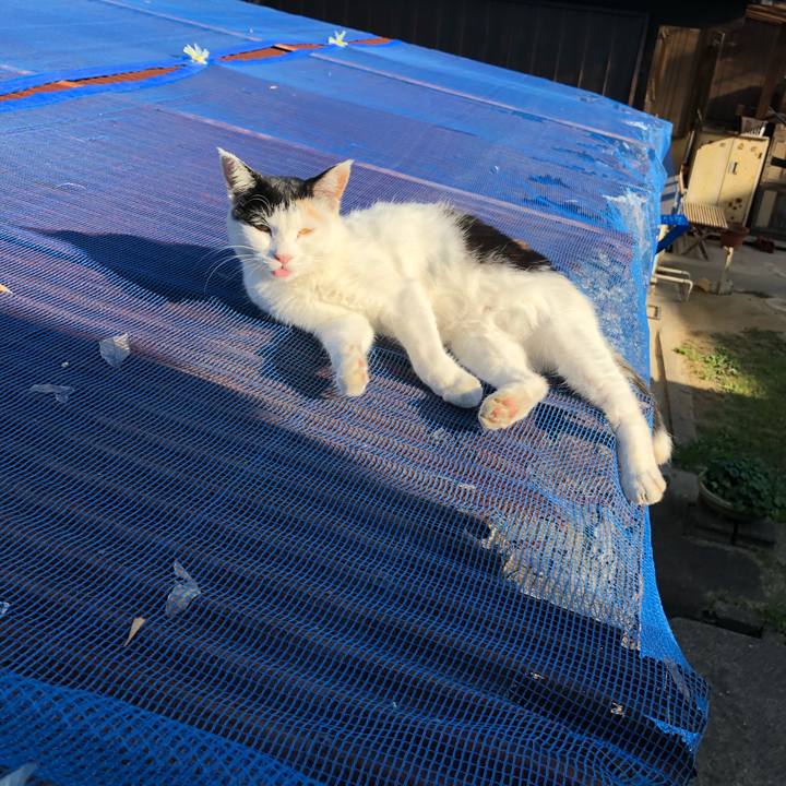 87a40144 c268 4db8 ba91 362349996d9b 1602543491056