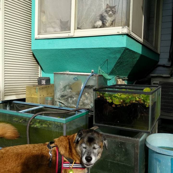 87a4037a e9e1 4d28 a423 479dbb7c43e7 1540946709651