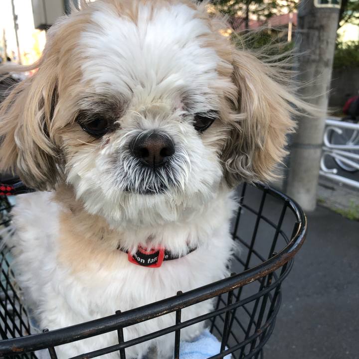 87a439fe 0d1f 47c4 bf8e 1e706ad8cec5 1618264348699