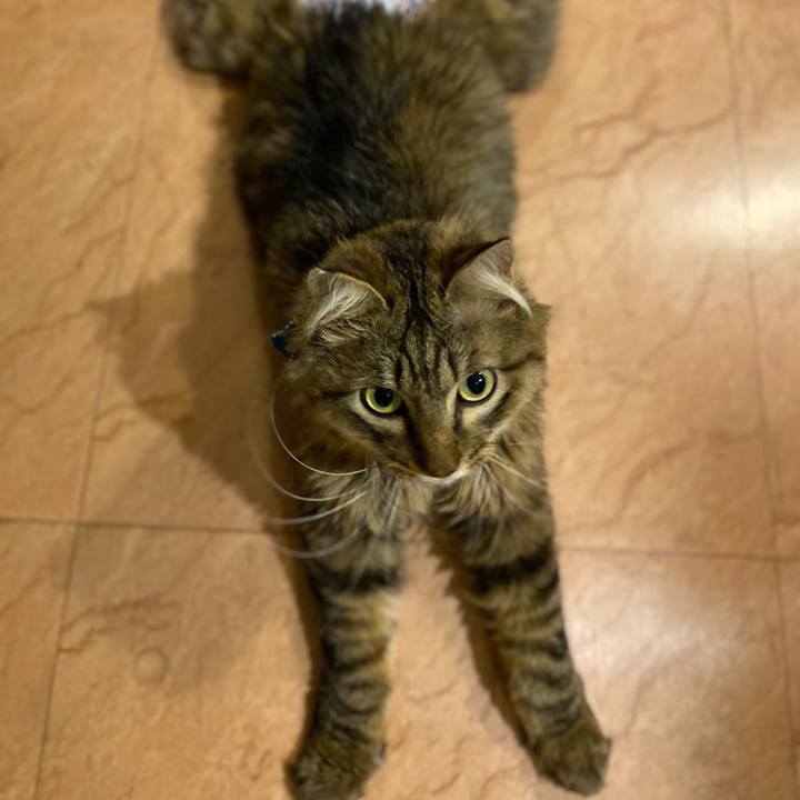 87a45069 f05e 40ea 80dc 8525004e764a 1683971976328