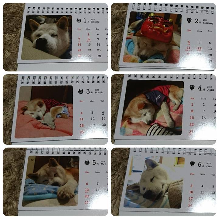 87a4601a 3f68 4a9e 95c6 4f5dca5f2590 1510978501789