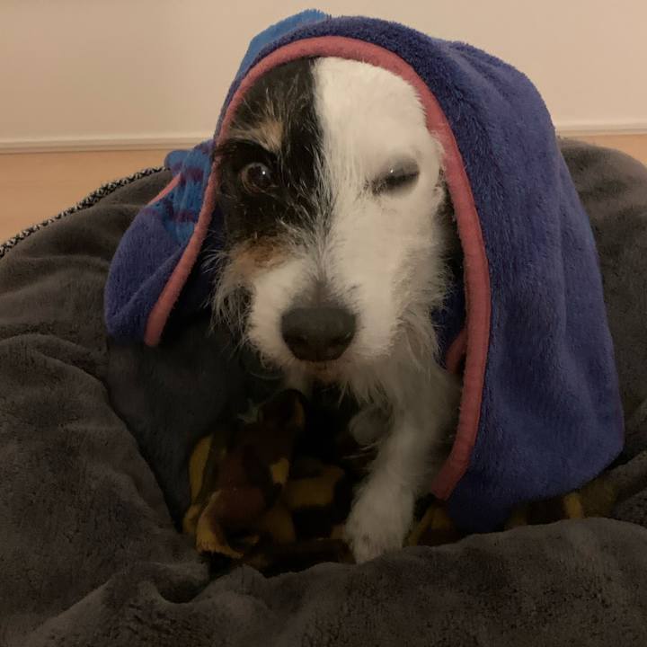 87a482bd 7735 448d 8598 2a44d5d193d0 1738675608369