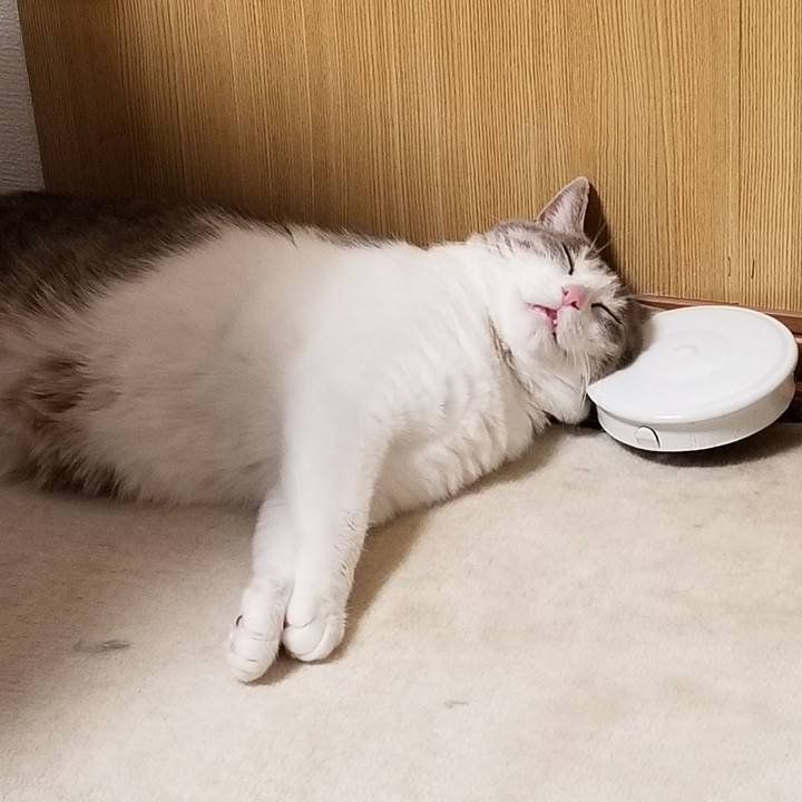 87a48c8e d08e 490f bac3 d2a586b3cfe2 1611413657343