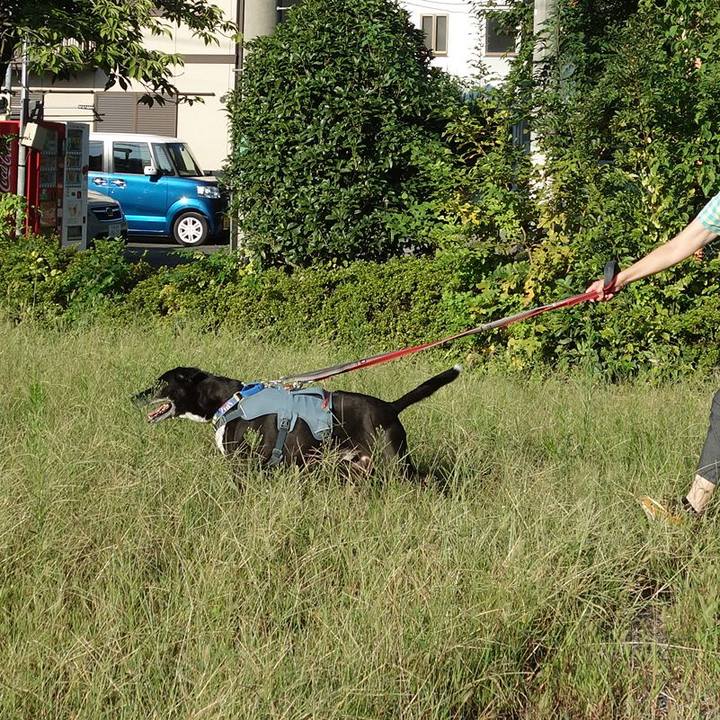 87a48fa7 d0b7 4358 b6ef 439c24af36f5 1726189123999