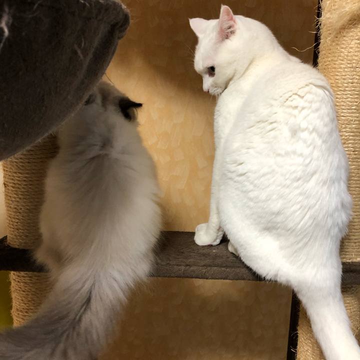 87a4b608 4756 40a6 99c1 9289c5558155 1632924111653