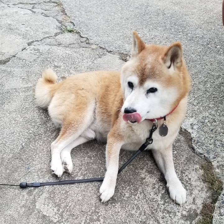 87a4db08 a818 49b0 9305 8ba9b9110981 1729666135550