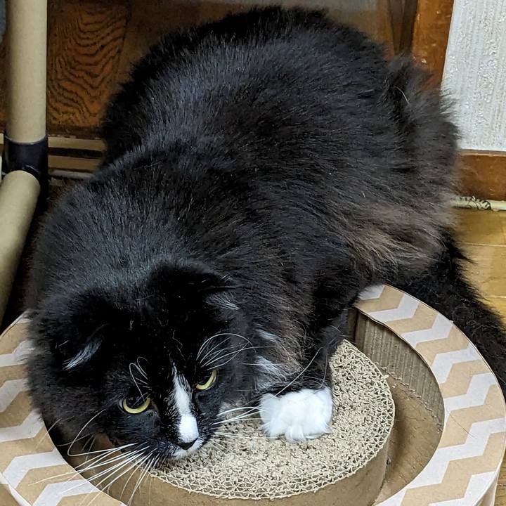 87a4df7e 2d54 49ac a109 94135f20ff5d 1681129139060