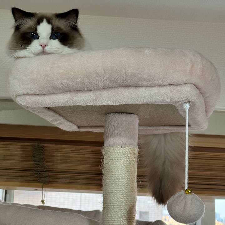 87a508e9 3006 4046 8ef7 cedb5bfed71a 1770891889584