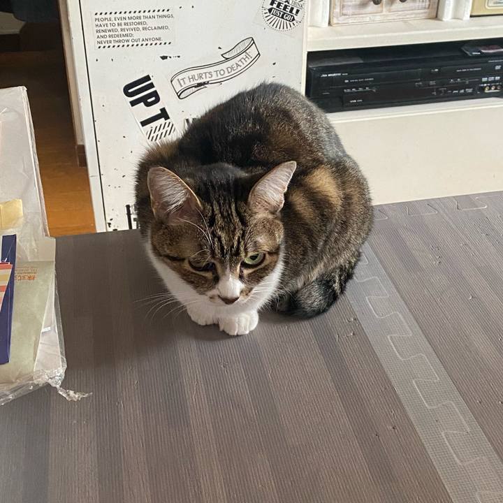 87a548a6 f742 4446 8180 7cdeb517a723 1639702892201