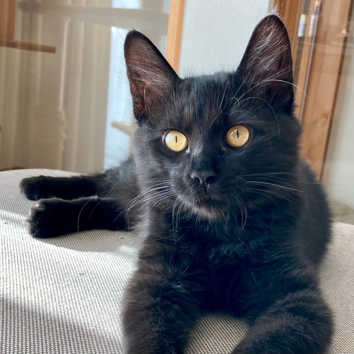 87a54cee cf8c 427f a88f df685861e6cd 1704683279863