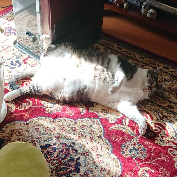 87a55c2a 7f19 4989 82c6 724c1fd18584 1555196843504