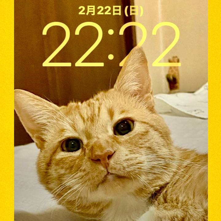 87a5800a bd27 4e8c a1f7 c30493570241 1771768469295