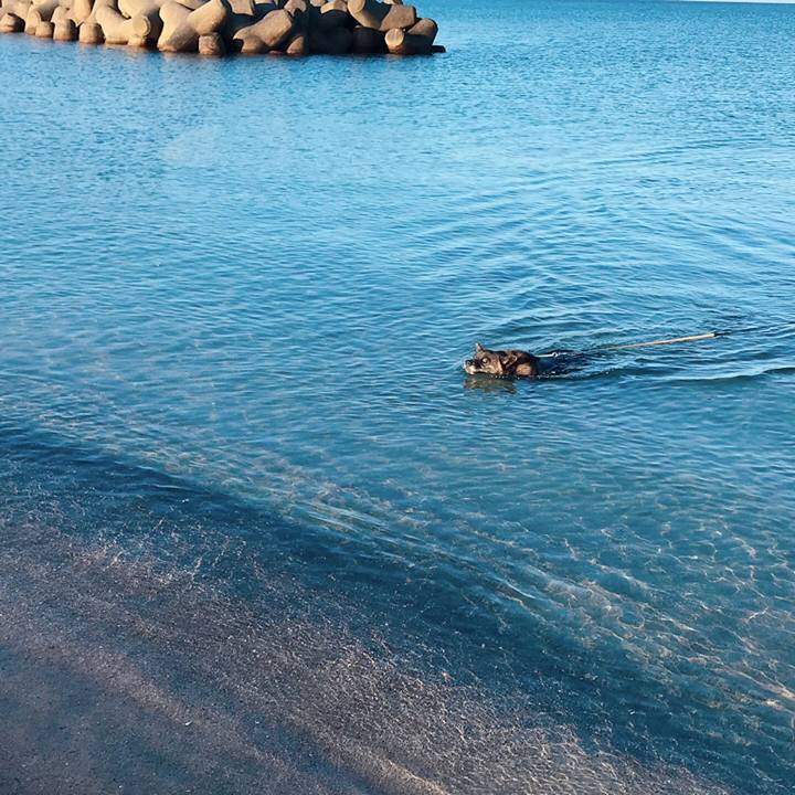 87a587fe e90b 4f7e ad30 ddefae960589 1565734921679