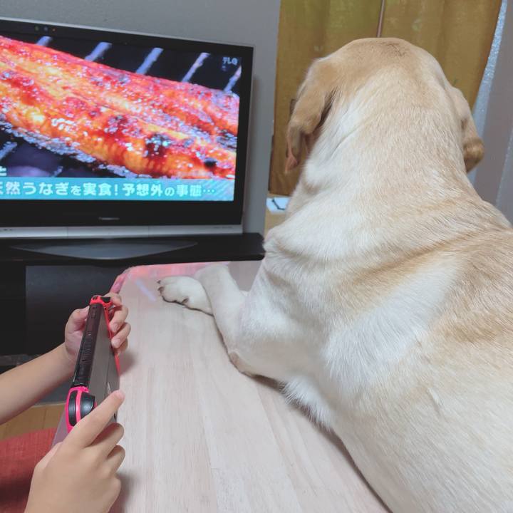 87a5ca1d 3ea5 40db a81a 15021436561c 1664628593488