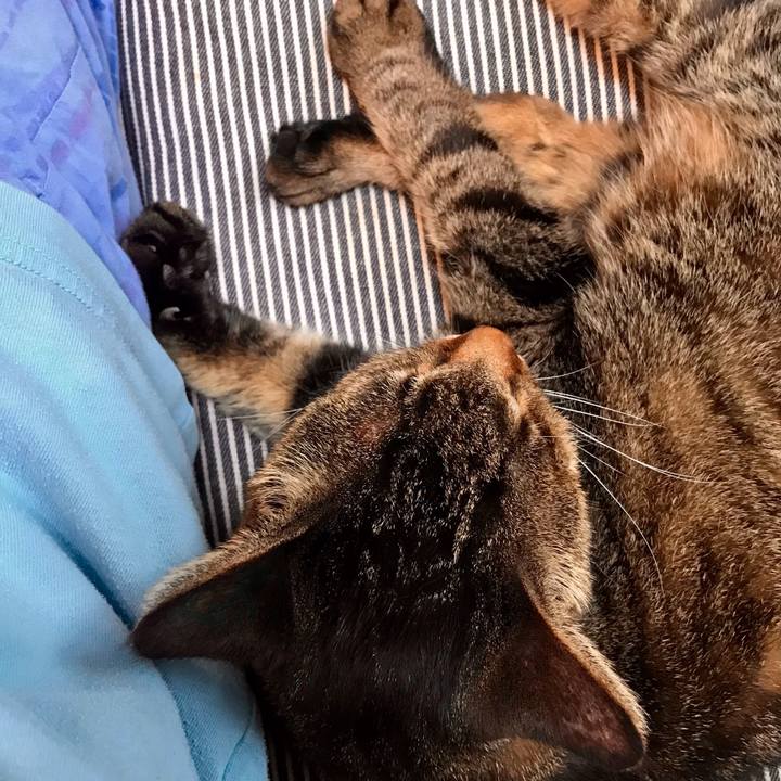 87a5f359 0ae7 42ae bc9f e572123aa54a 1627610581903