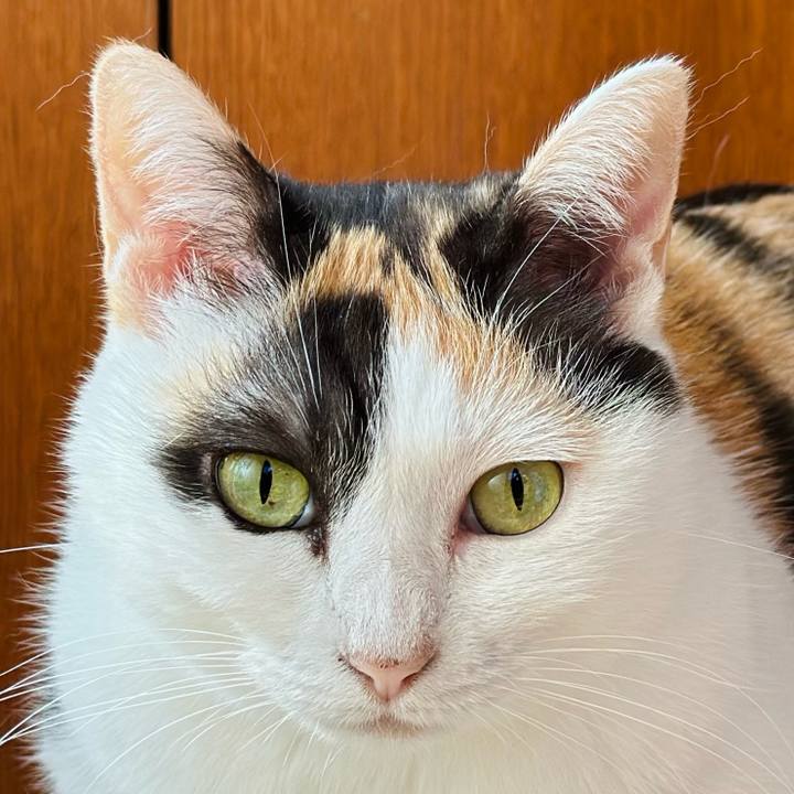 87a614c3 15e7 4753 a42a c9486e9dc368 1691806076250