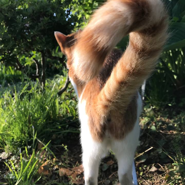 87a63bc8 b31a 40e5 b76d 5222c546a0d6 1527906423175