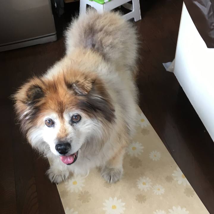 87a69a9b be1e 4990 afb2 f6dd0c50beed 1557112928058