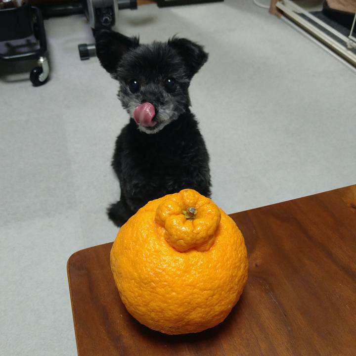 87a6abc4 fc7e 4754 939f d5861fde74a9 1710587624883