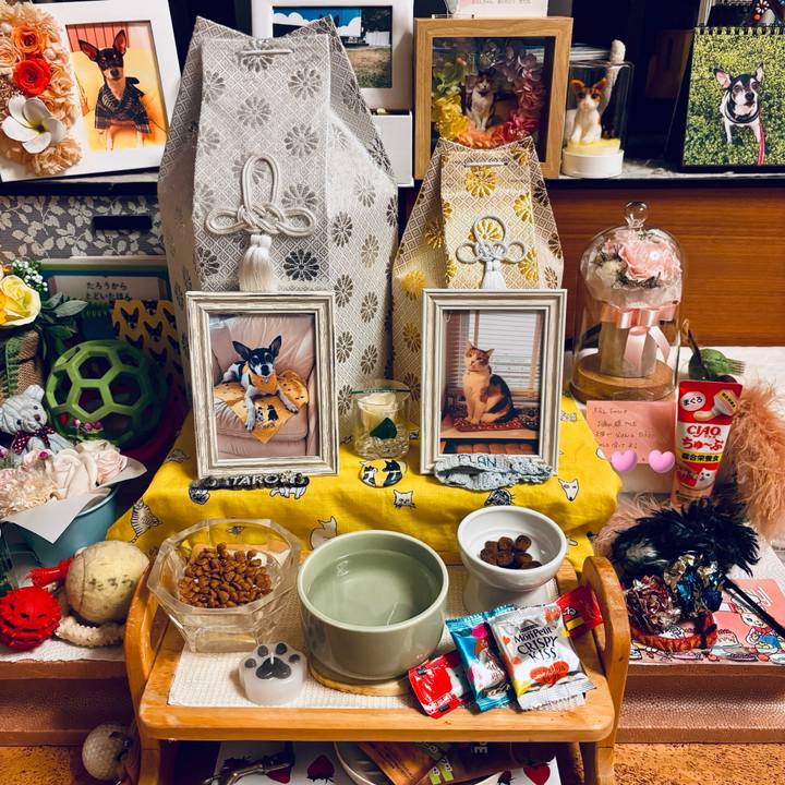 87a6b805 8f94 4998 af9f 6dafacaf109a 1747828897426