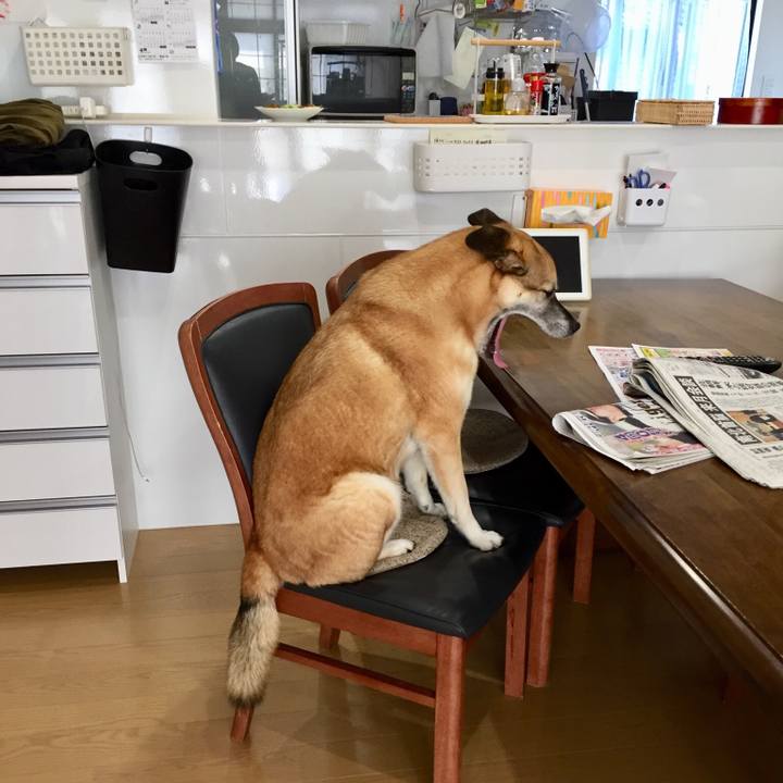 87a6d29f d217 4e99 b49b a7eb104ace01 1520381224891