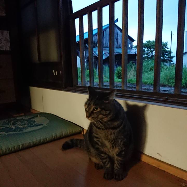 87a6e4d1 af6a 4b8f a4e0 c3fd27fb5e61 1662583704185