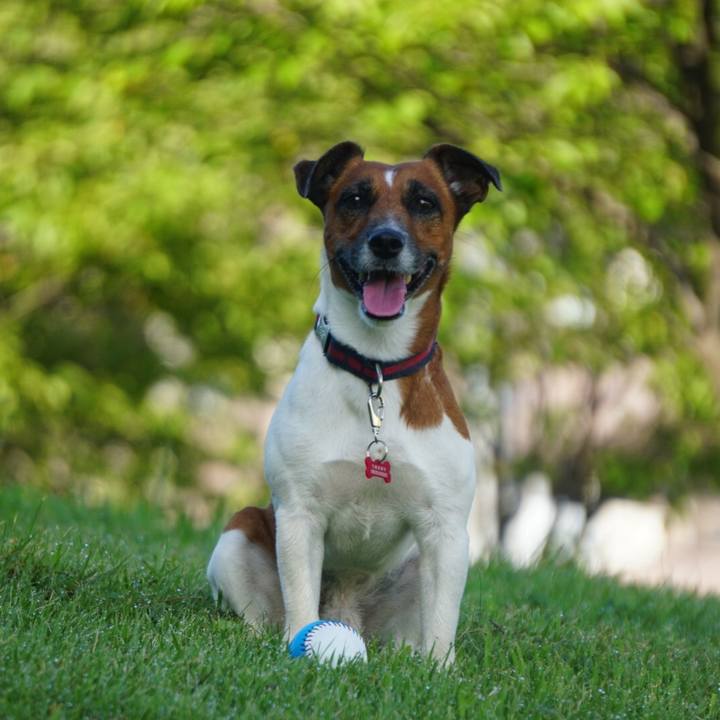 87a70a2c 02b1 4ac6 b43a 3a87ec496581 1534201857838