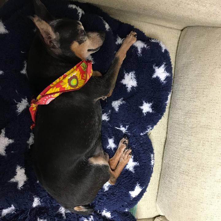 87a727dc 96a2 4abd 9bfa 3f5a129e425c 1566567660646