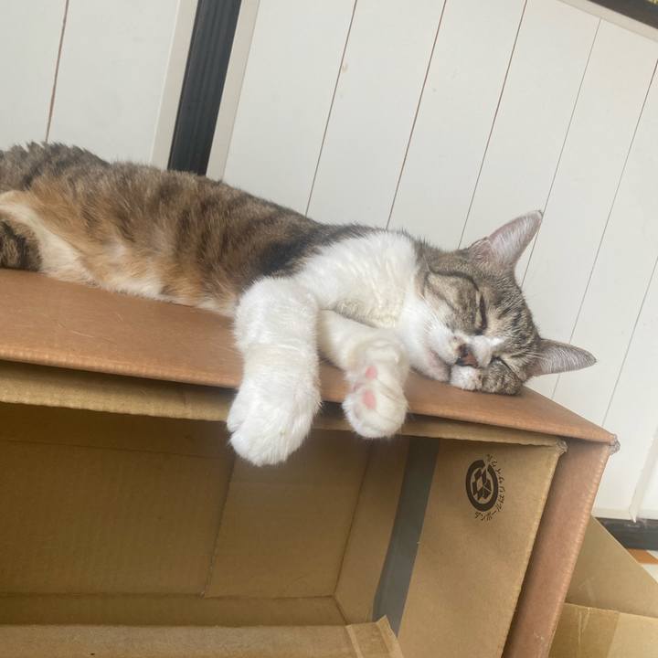 87a766d6 249a 4db1 b8b7 68c5bf87f668 1723598209183