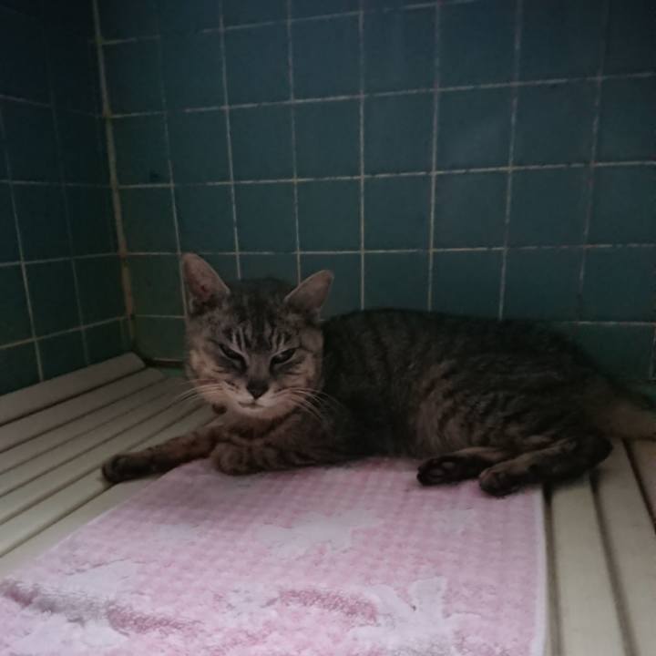 87a78bbb 25f2 4816 b8e4 3949a339bafb 1593979552553