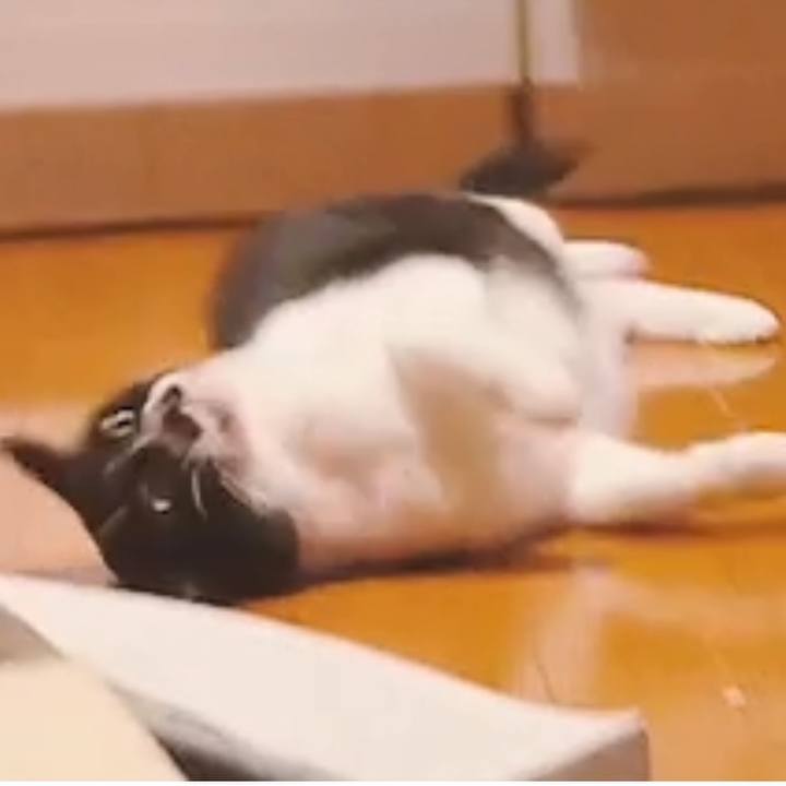 87a79775 deae 48dd ab8a 9ef4bcd28d64 1671633667231