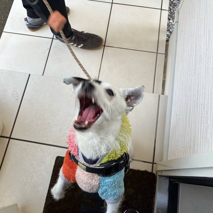 87a7aaa0 39f4 44c9 9378 3d01940c3b0c 1772585162012