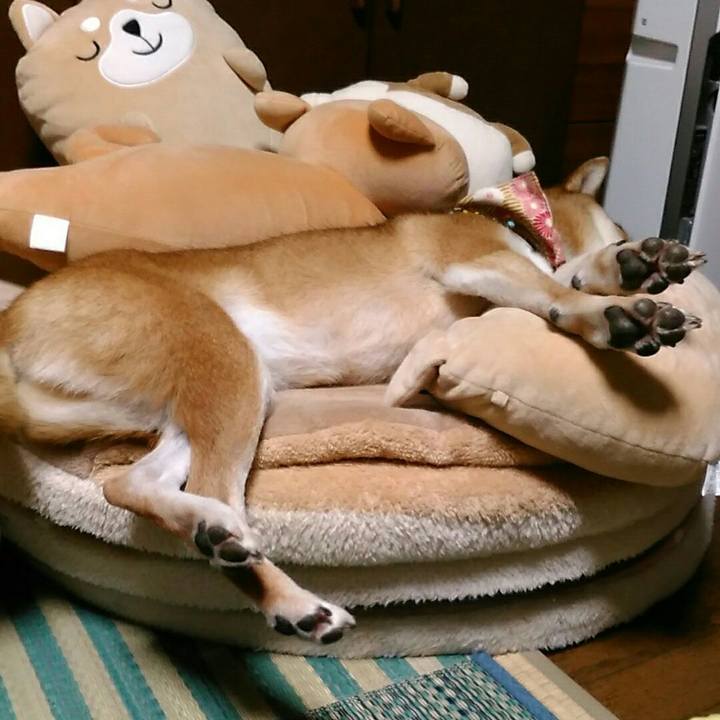 87a7db0e ec86 4435 b6c0 a4523d752128 1539174385770